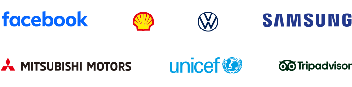Companies that trusted us